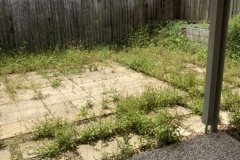gallery-img17