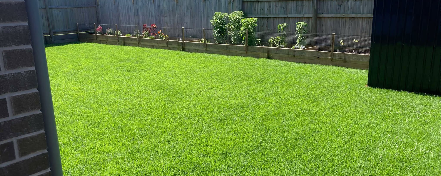 North Brisbane Lawn Mowing, Gardening Services Brisbane, Lawnjet, Lawn Mowing and Garden Services in Brisbane