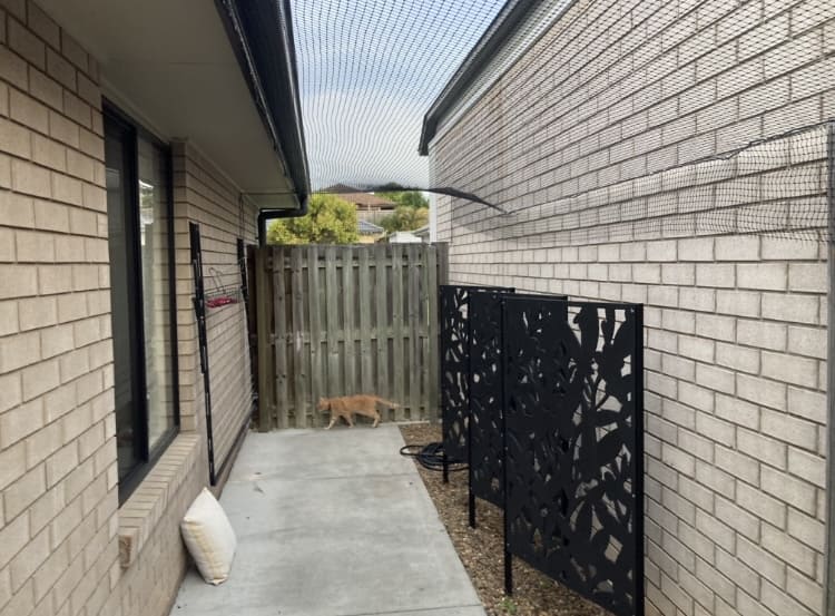 Outdoor Cat Enclosures & Cat Netting Brisbane, Lawnjet