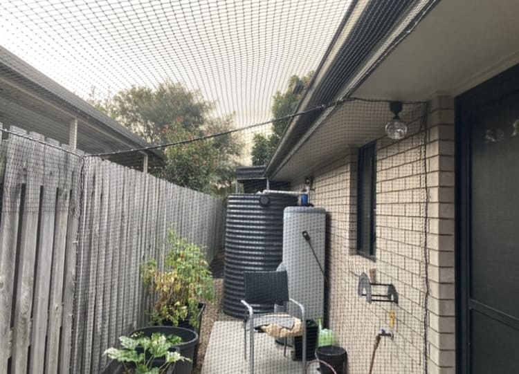 Outdoor Cat Netting Services Brisbane, Cat Netting Installation Brisbane