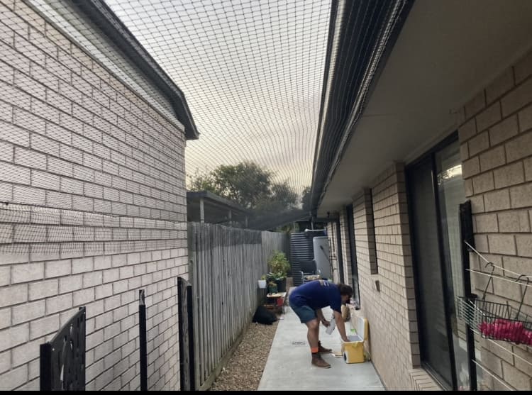 Cat Enclosures North Brisbane, Cat Netting North Brisbane, Lawnjet